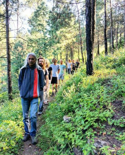 Forest Walk