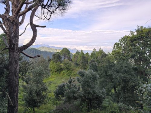 Mountains View